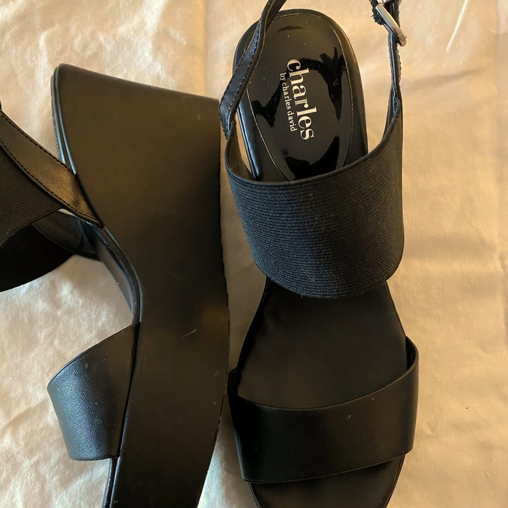 Charles David Sandals